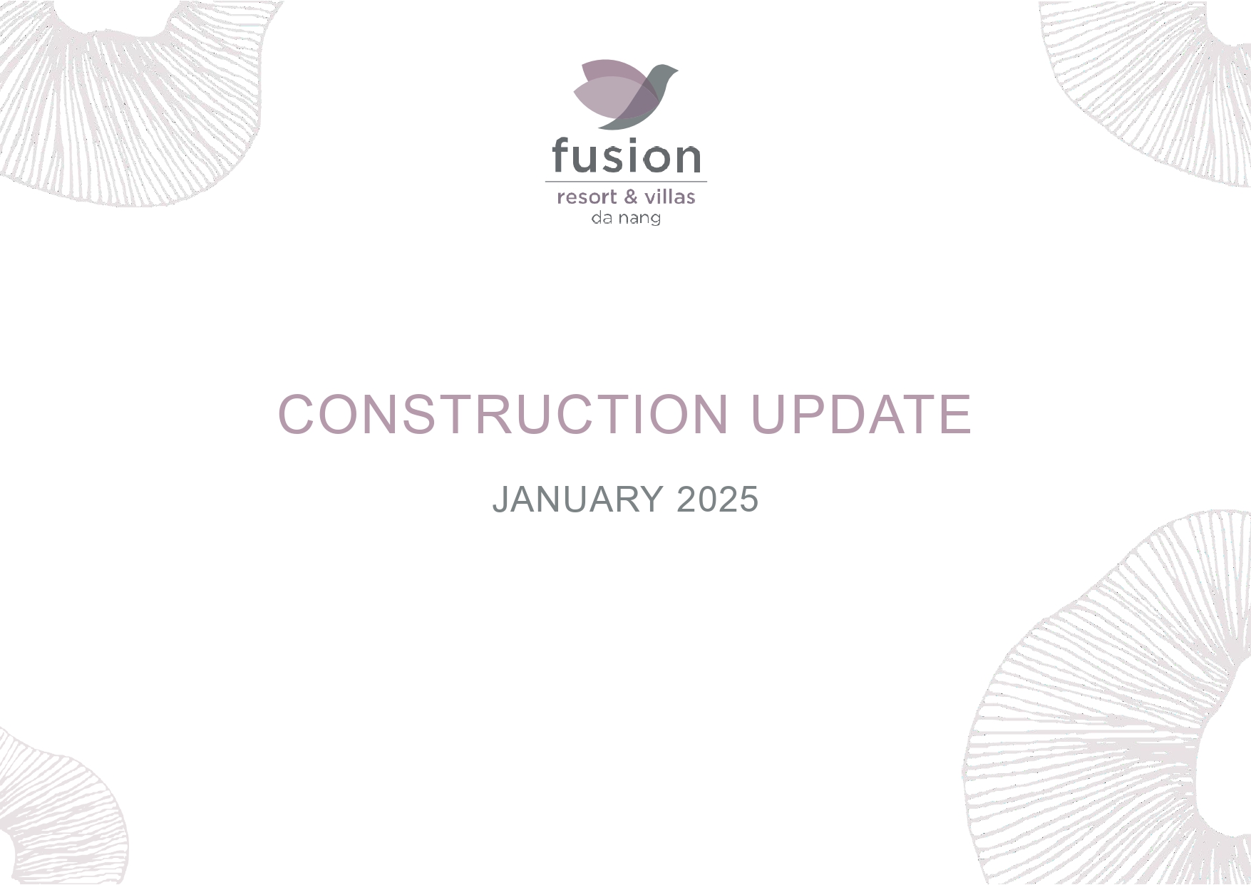 Project Update in January 2025